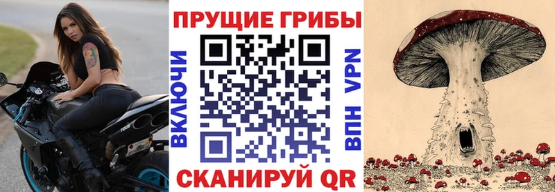 mega ТОР Нальчик нарко площадка как зайти Псилоцибиновые грибы Psilocybine cubensis